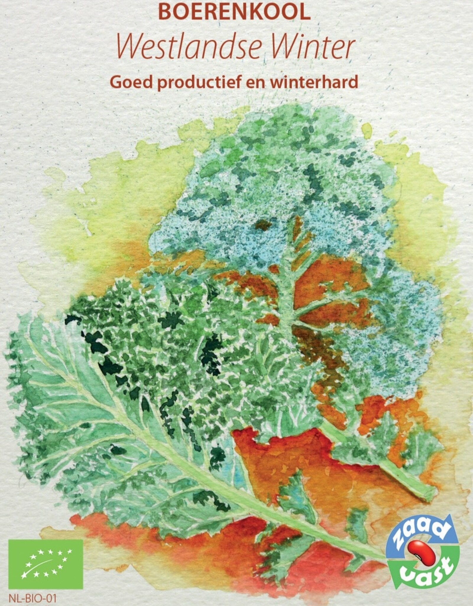 Boerenkool Westlandse Winter