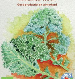 Boerenkool Westlandse Winter