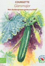 Courgette Glansmajor