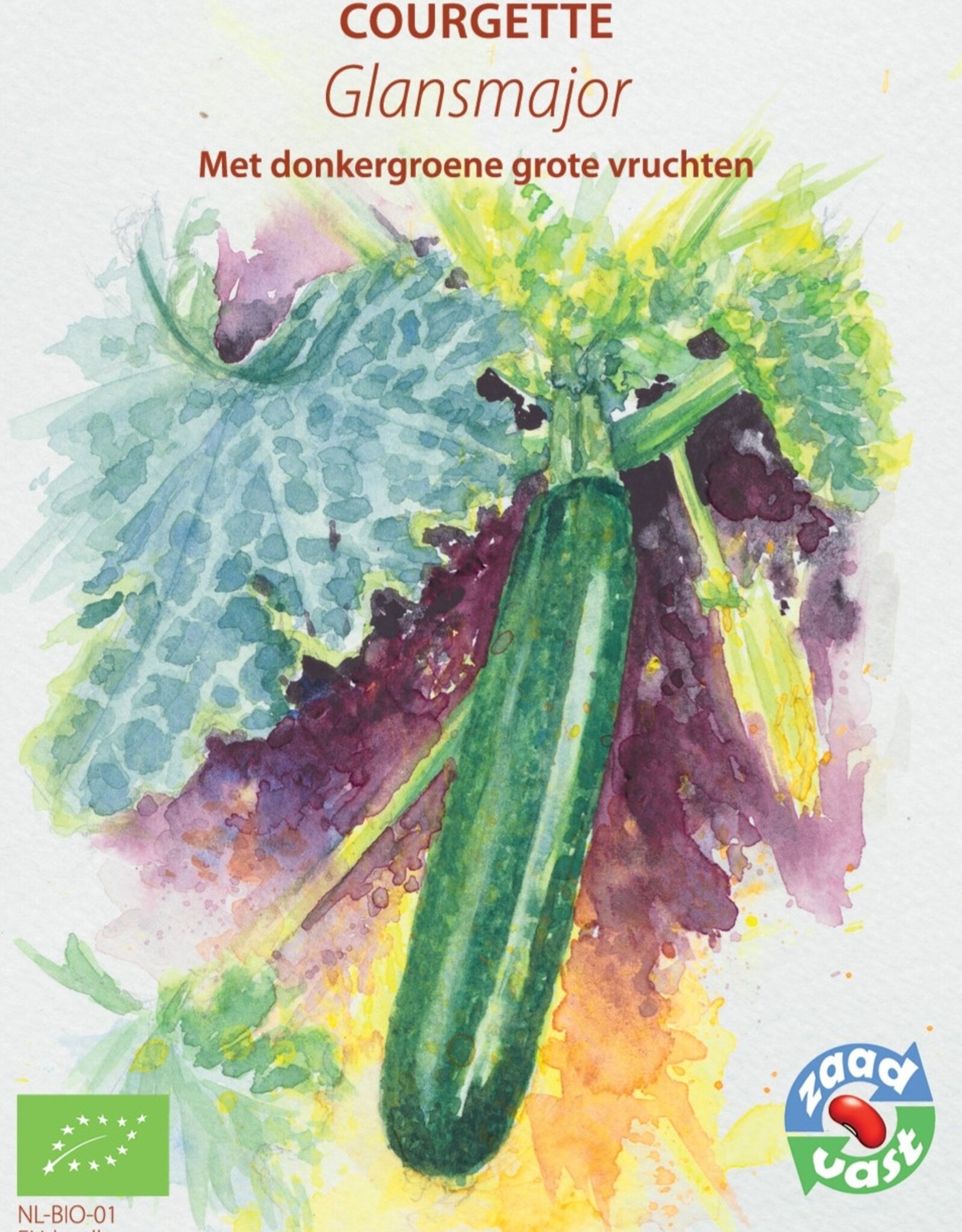 Courgette Glansmajor