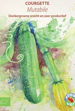 Courgette Mutabile
