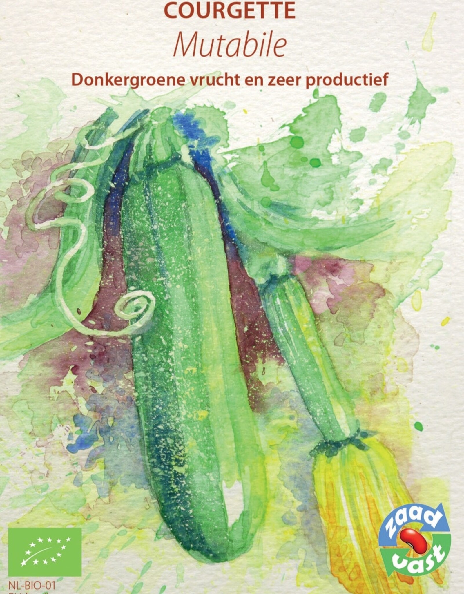 Courgette Mutabile
