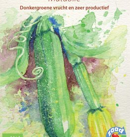 Courgette Mutabile