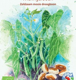 Droogboon Wieringer boon (stamboon)