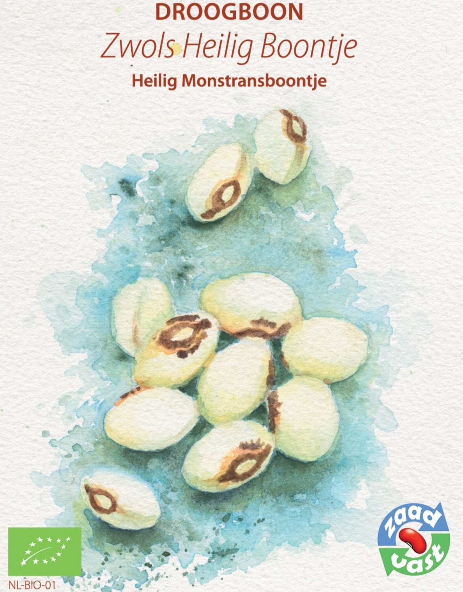 Droogboon Zwols Heilig Boontje