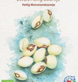 Boon Zwols Heilig Boontje (stamboon)