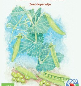Erwt Wonder van Scheemda (doperwt)