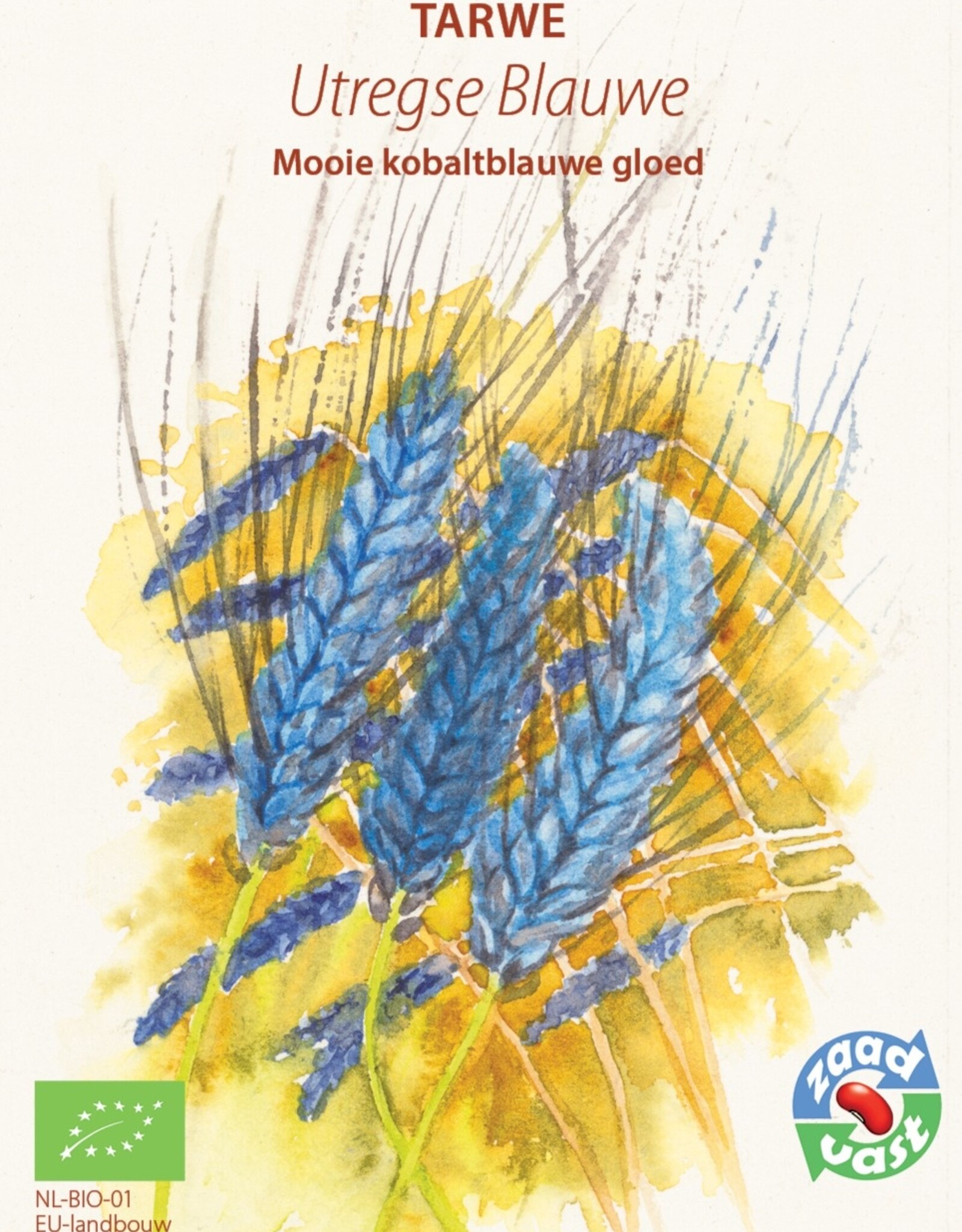 Graan Utregse Blauwe