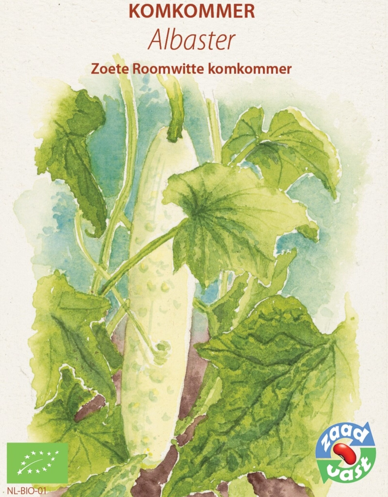 Komkommer Albaster bewaar komkommer