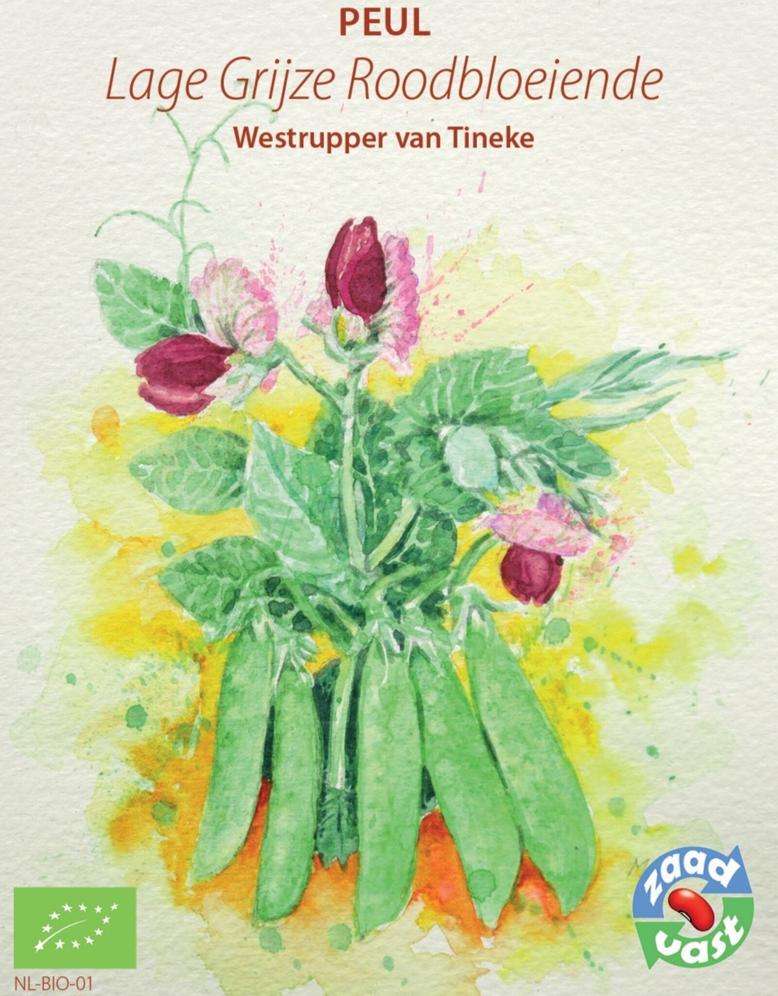 Peul Lage Grijze Roodbloeiende - Westrupper
