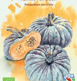 Pompoen Familie Pompoen