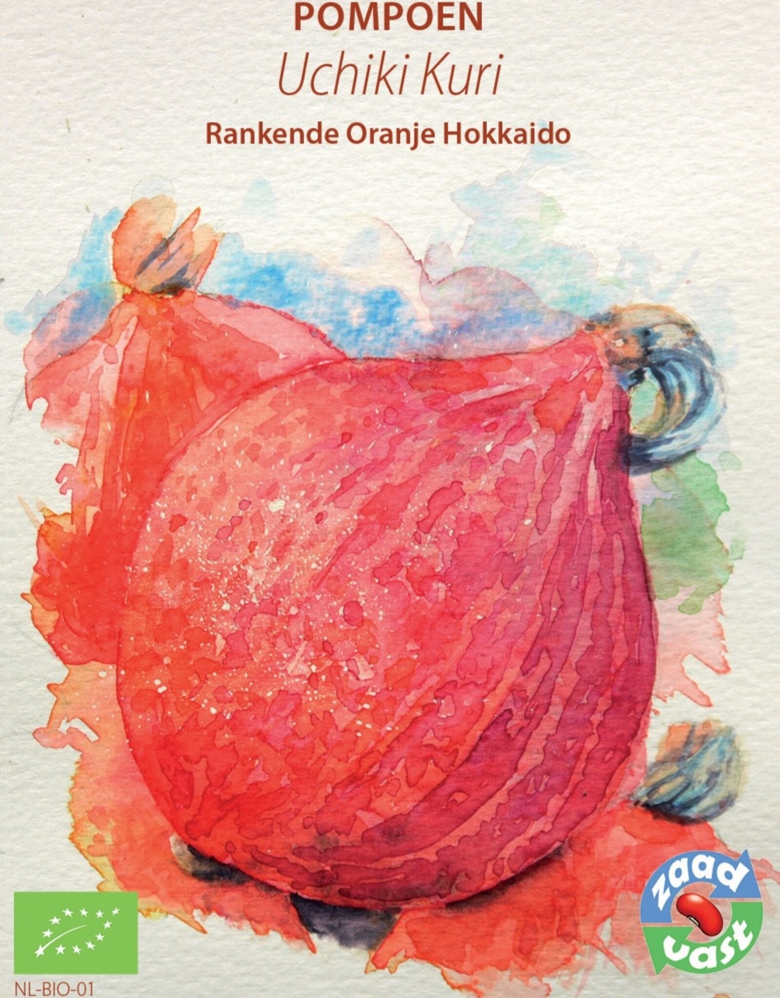 Pompoen Uchiki Kuri
