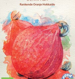 Pompoen Uchiki Kuri