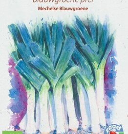 Prei Mechelse Blauwgroene