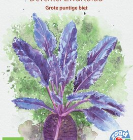 Rode Biet Deventer Zwartblad