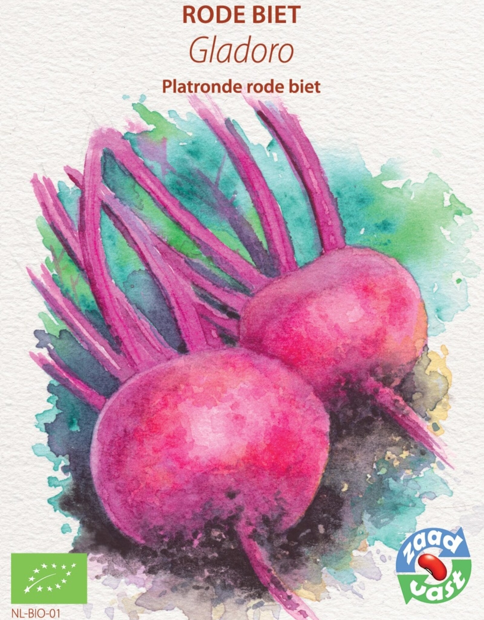 Rode Biet Gladoro platte gladde ronde rode  biet