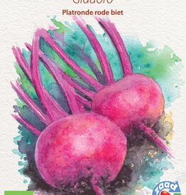 Rode Biet Gladoro