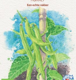 Boon Rakker (stokslaboon)
