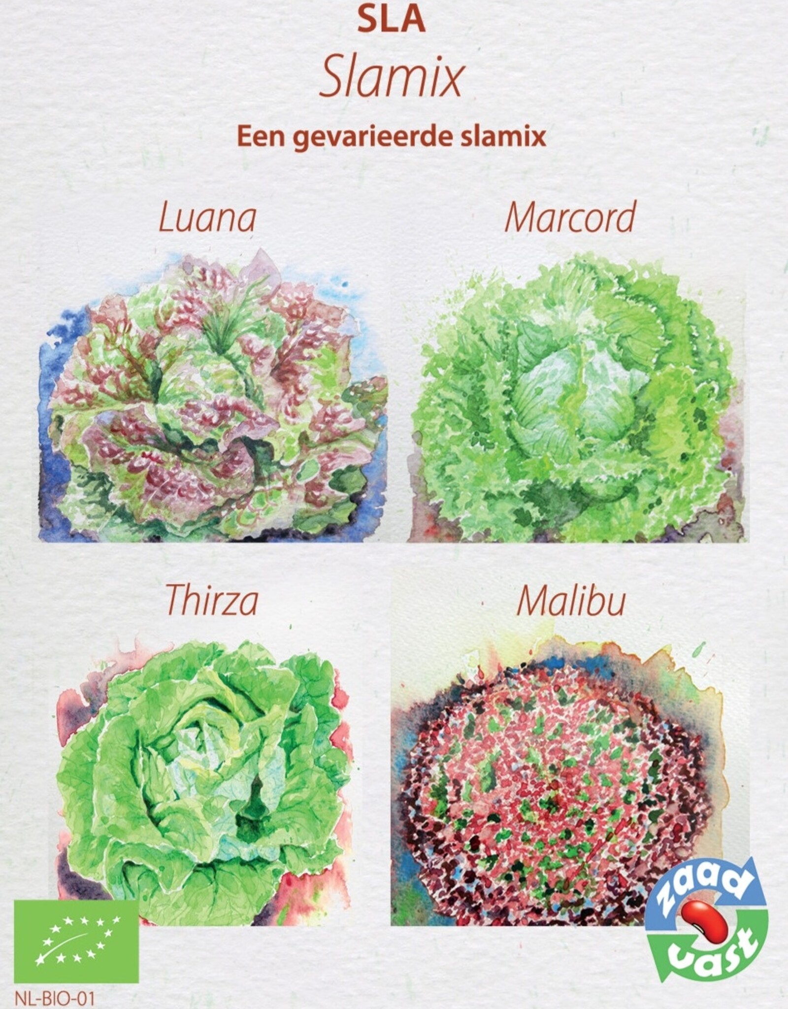 Sla slamix van 4 verschillende rassen