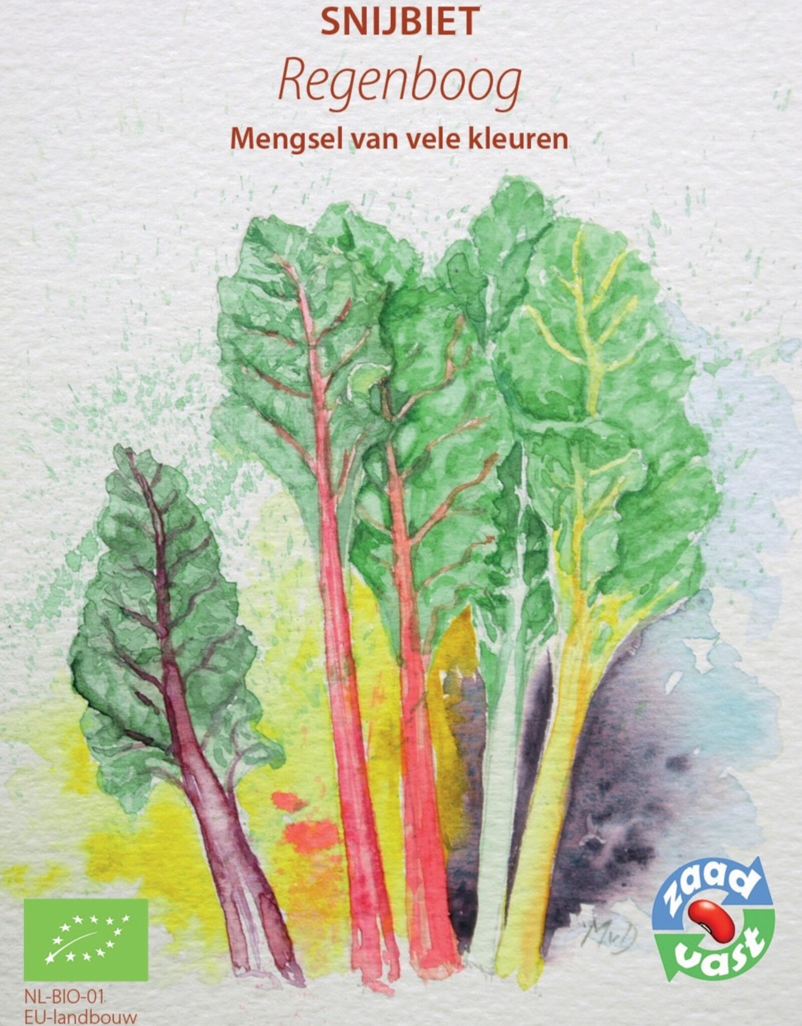 Snijbiet Regenboog