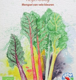 Snijbiet Regenboog