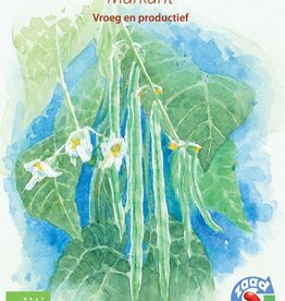 Boon Markant (Stoksnijboon)