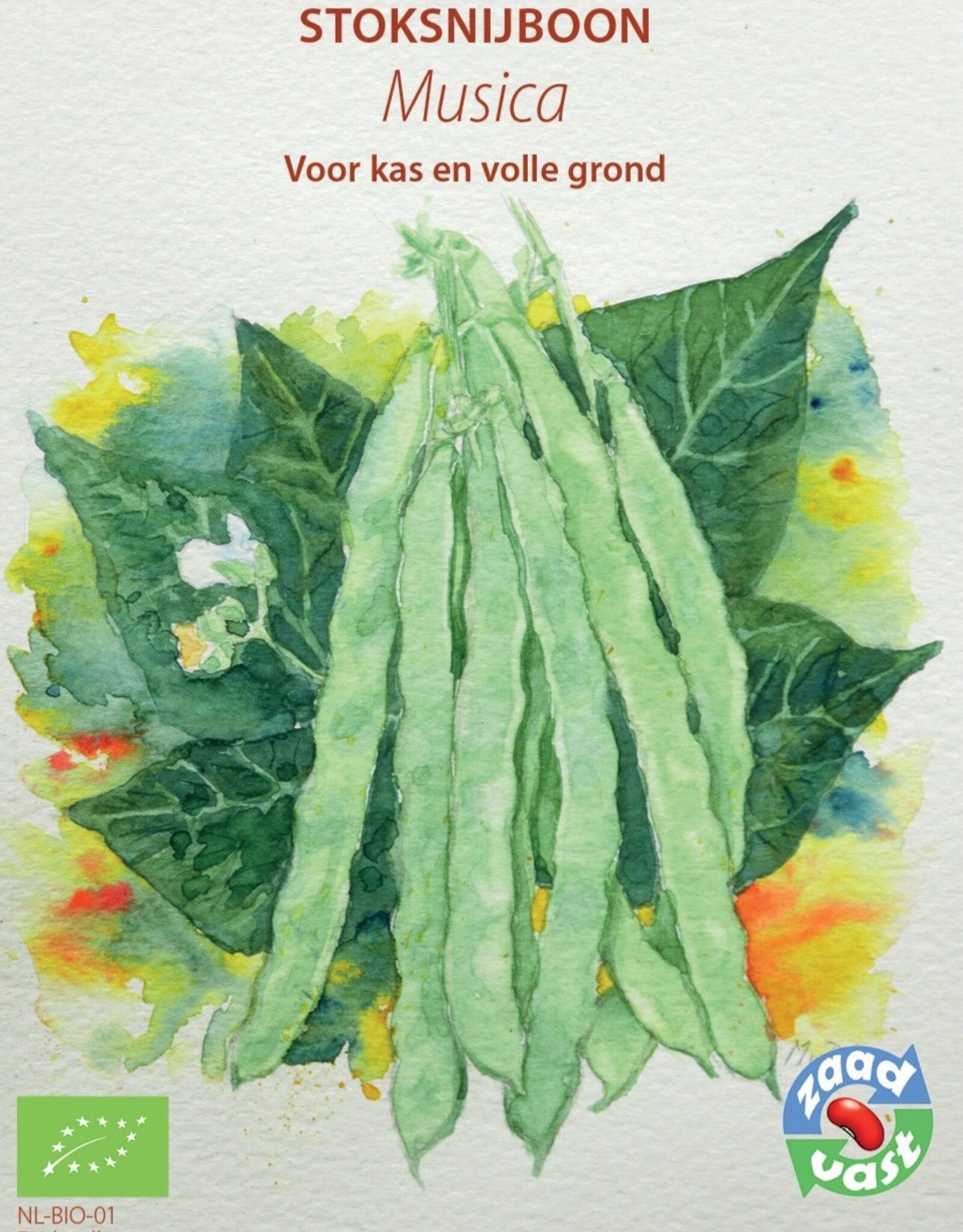 Boon Stoksnijboon Musica
