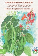 Boon Janumer boon (Stoksnijboon en - droogboon)