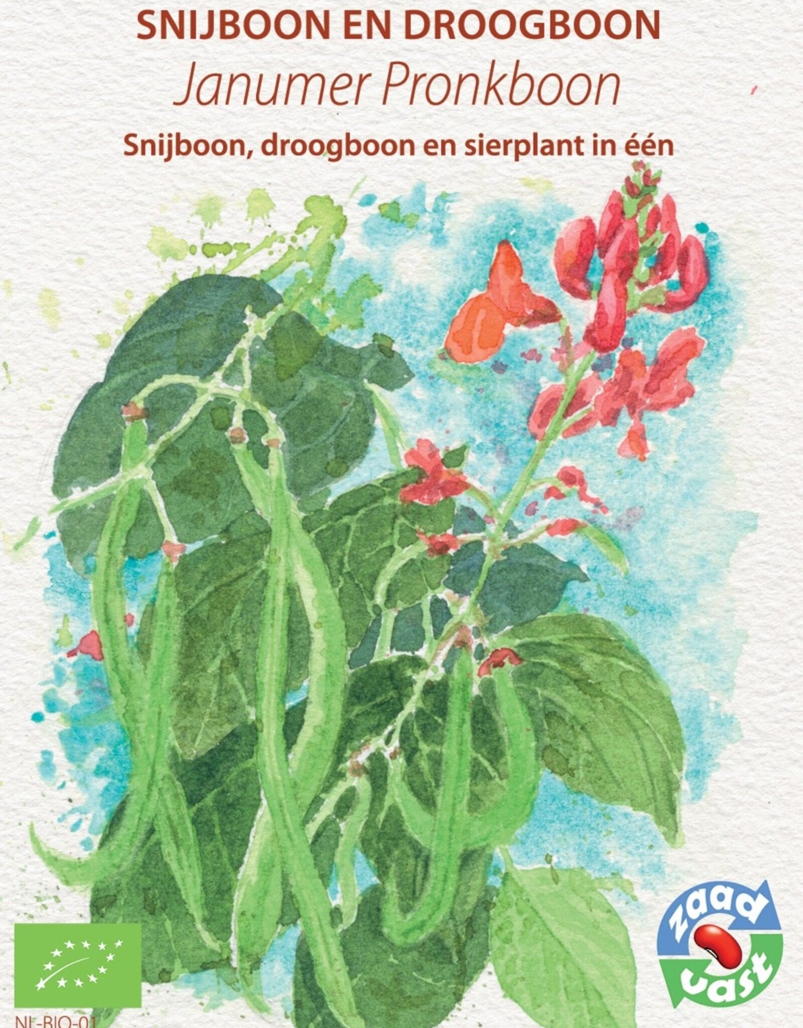 Boon Janumer boon (Stoksnijboon en - droogboon)