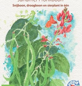 Pronkbonen Janumer boon (Stoksnijboon en - droogboon)