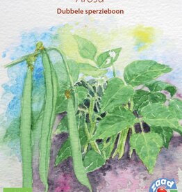 Boon Arosa (stamslaboon / sperzieboon)