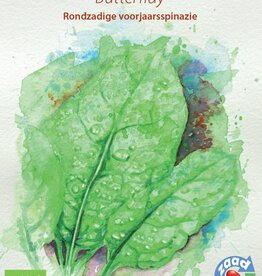 Spinazie Butterflay