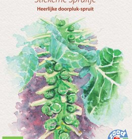 spruit Stiekeme spruitje