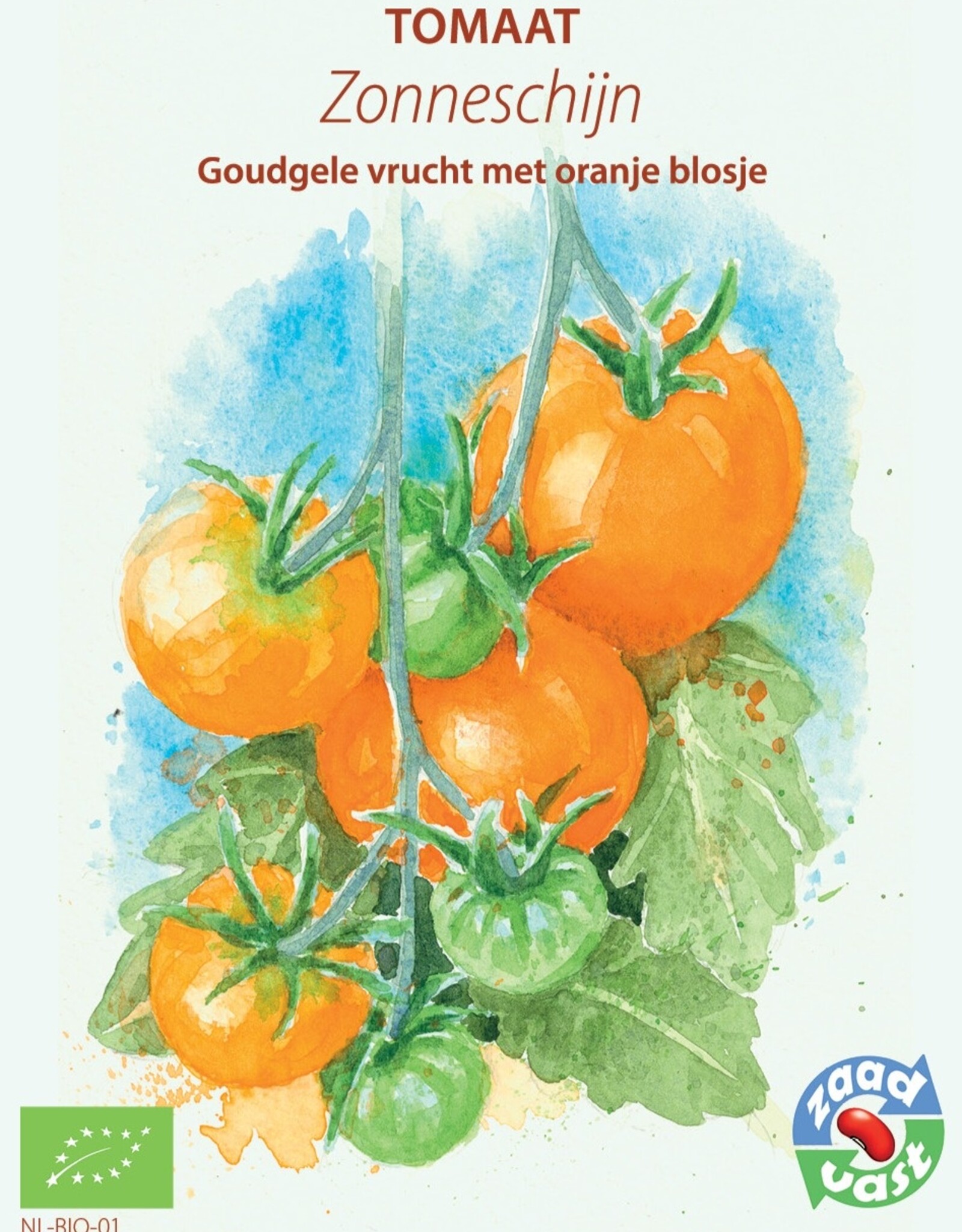 Tomaat Zonneschijn