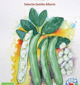 Tuinboon Witkiem (Tuinboon)