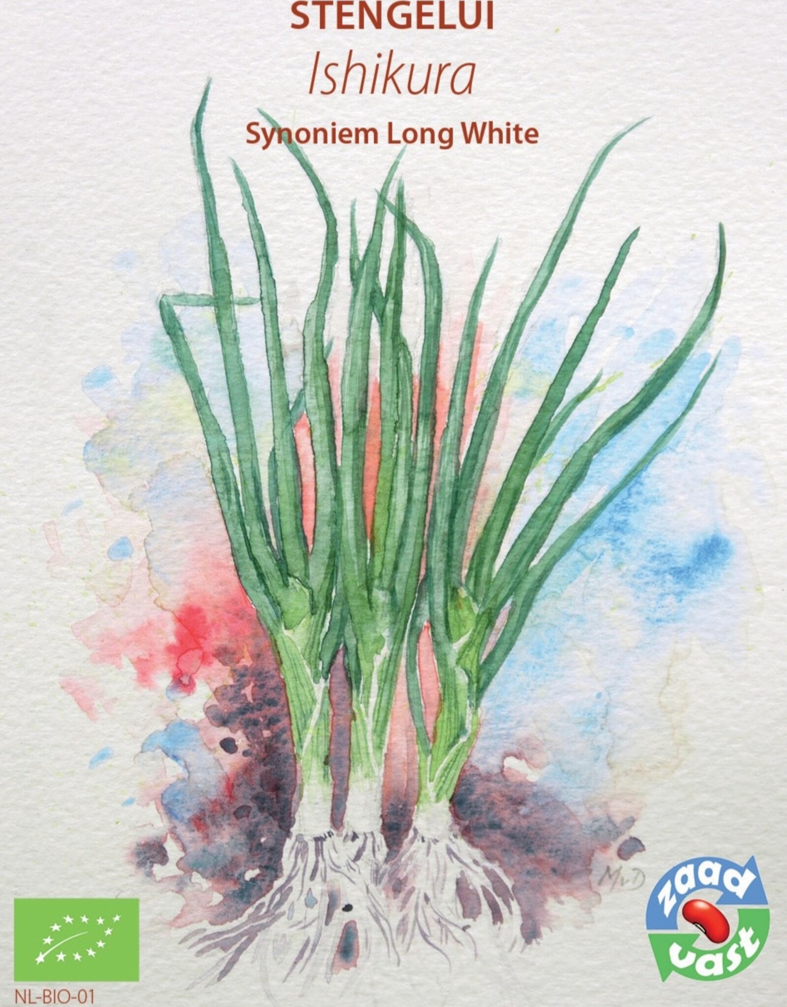 Stengelui Ishikura Long White