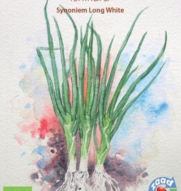 Stengelui Ishikura Long White