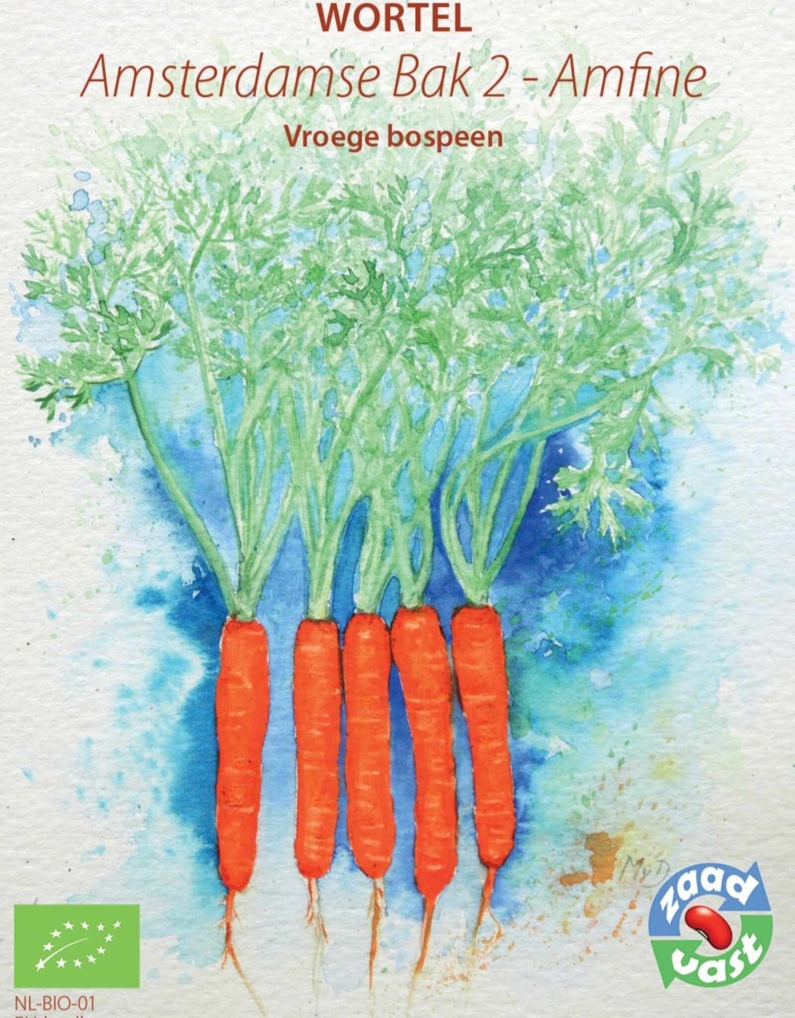 Wortel Wortel Amsterdamse Bak 2 - Amfine