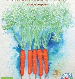Wortel Amsterdamse Bak 2 - Amfine (Bospeen)