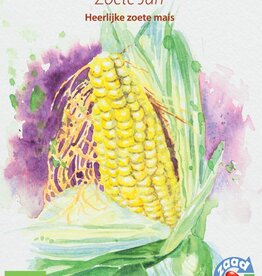 Drie gezuster actie aanbod