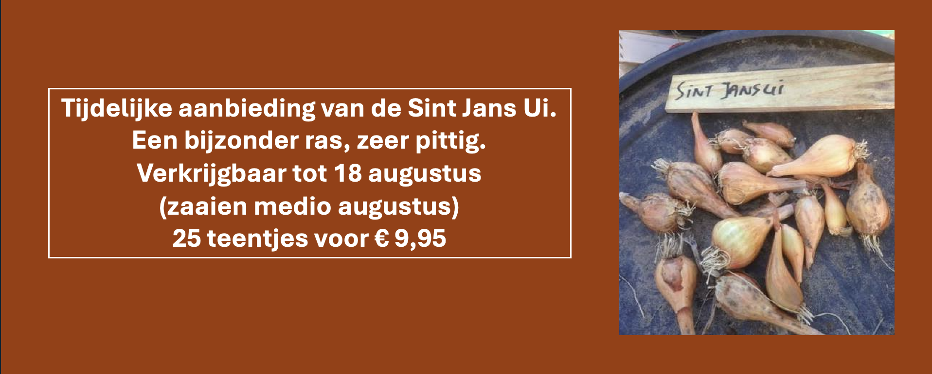 Sint Jans Ui