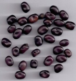 tuinboon Odijkse Duivenboon