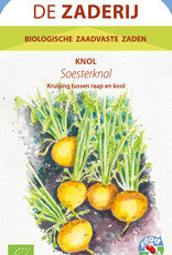 Meiraap Soesterknol