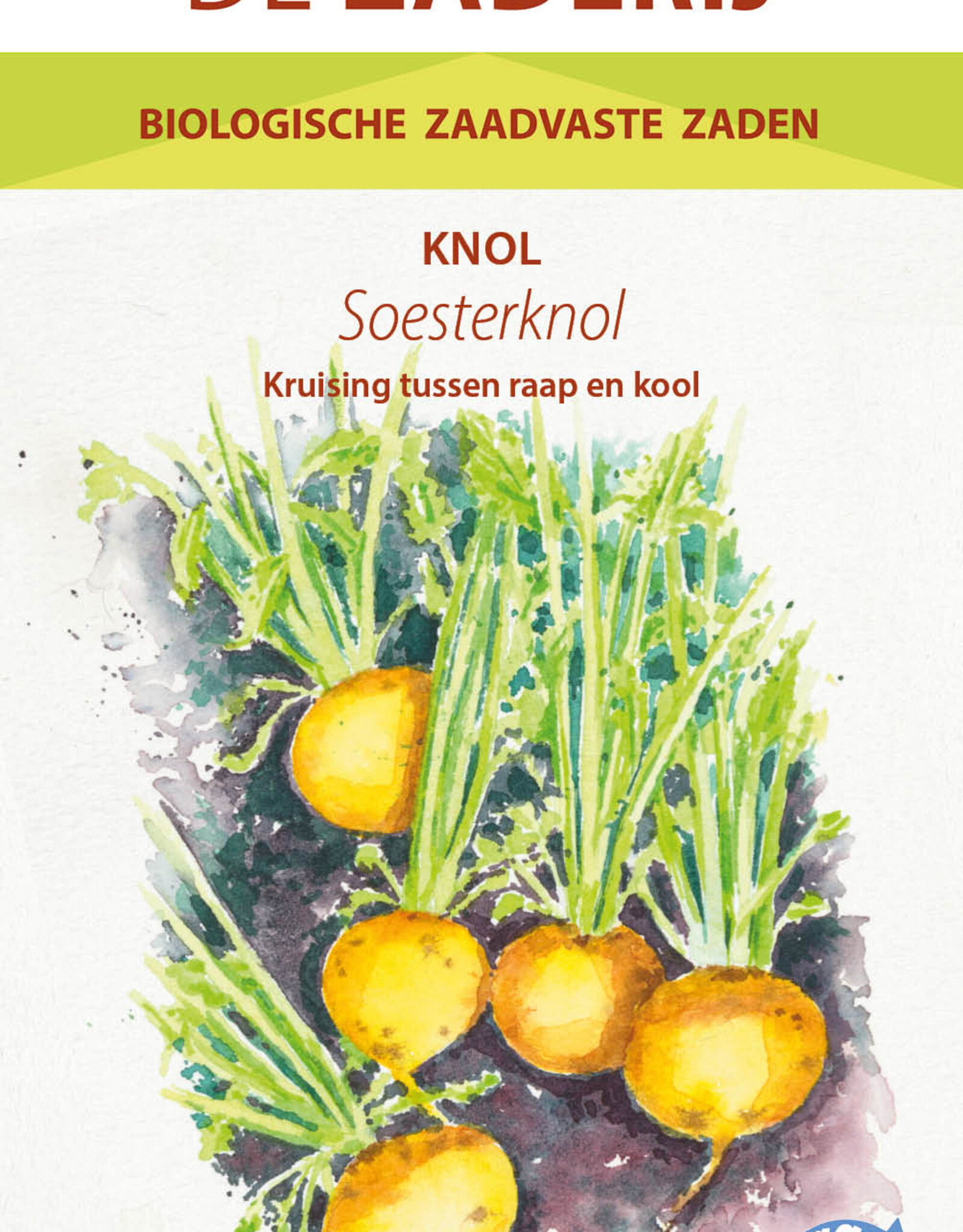 Meiraap Soesterknol