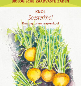 Meiraap Soesterknol