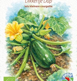 Courgette Dikkertje Dap