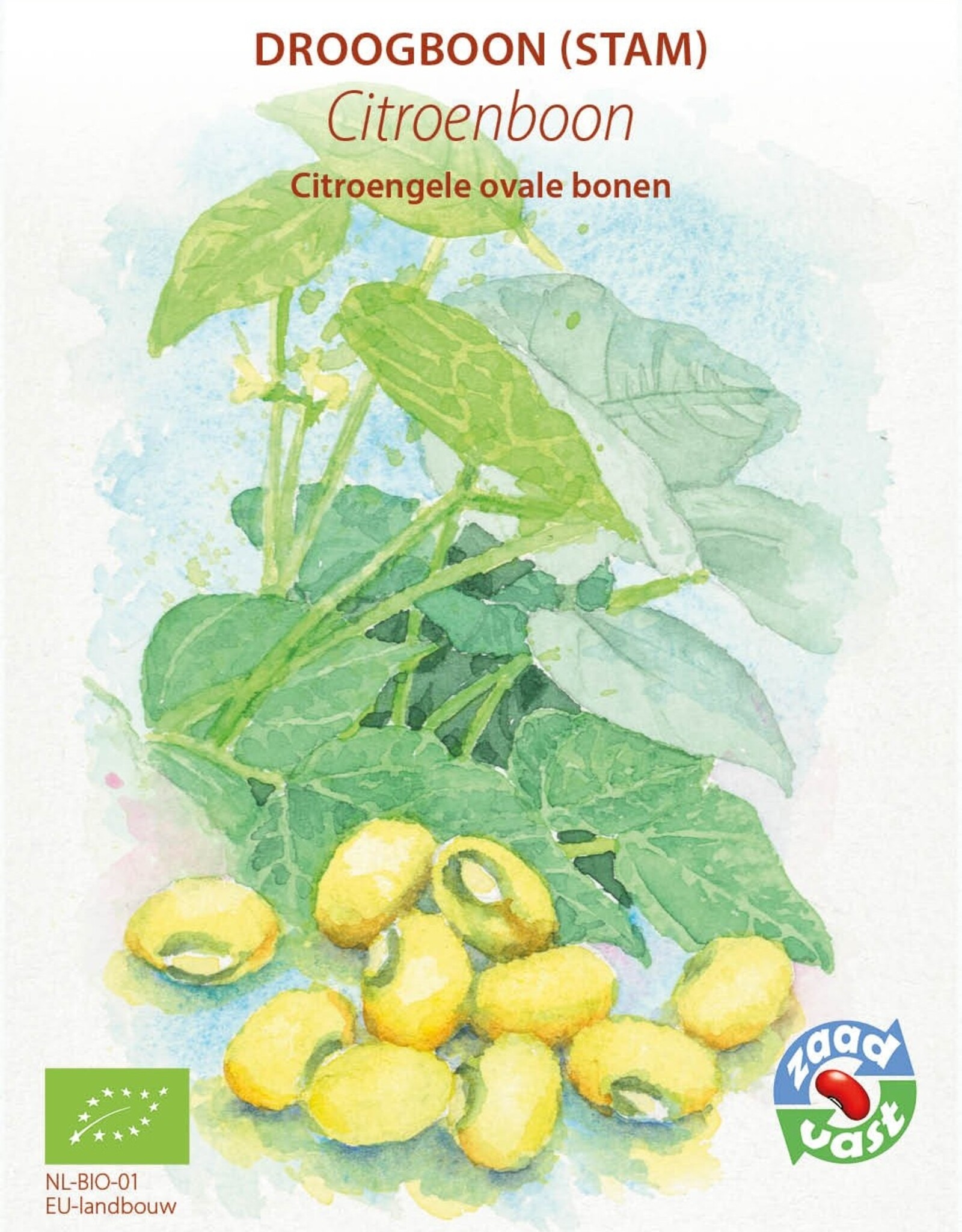 Droogboon Citroenboon