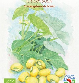 Droogboon Citroenboon (stamboon)