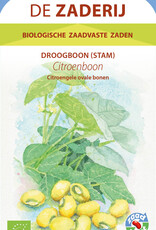 Droogboon Citroenboon