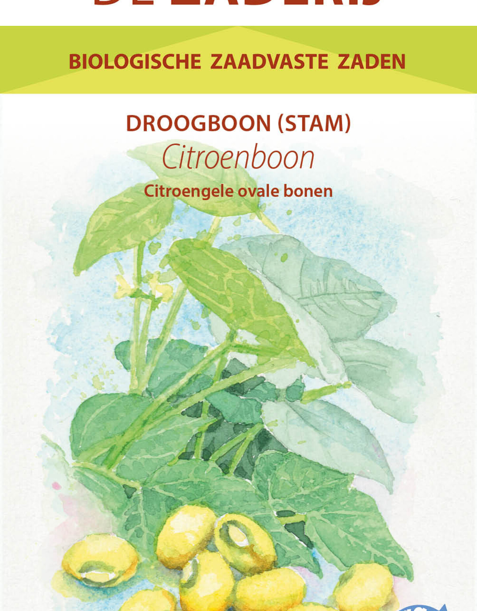 Droogboon Citroenboon